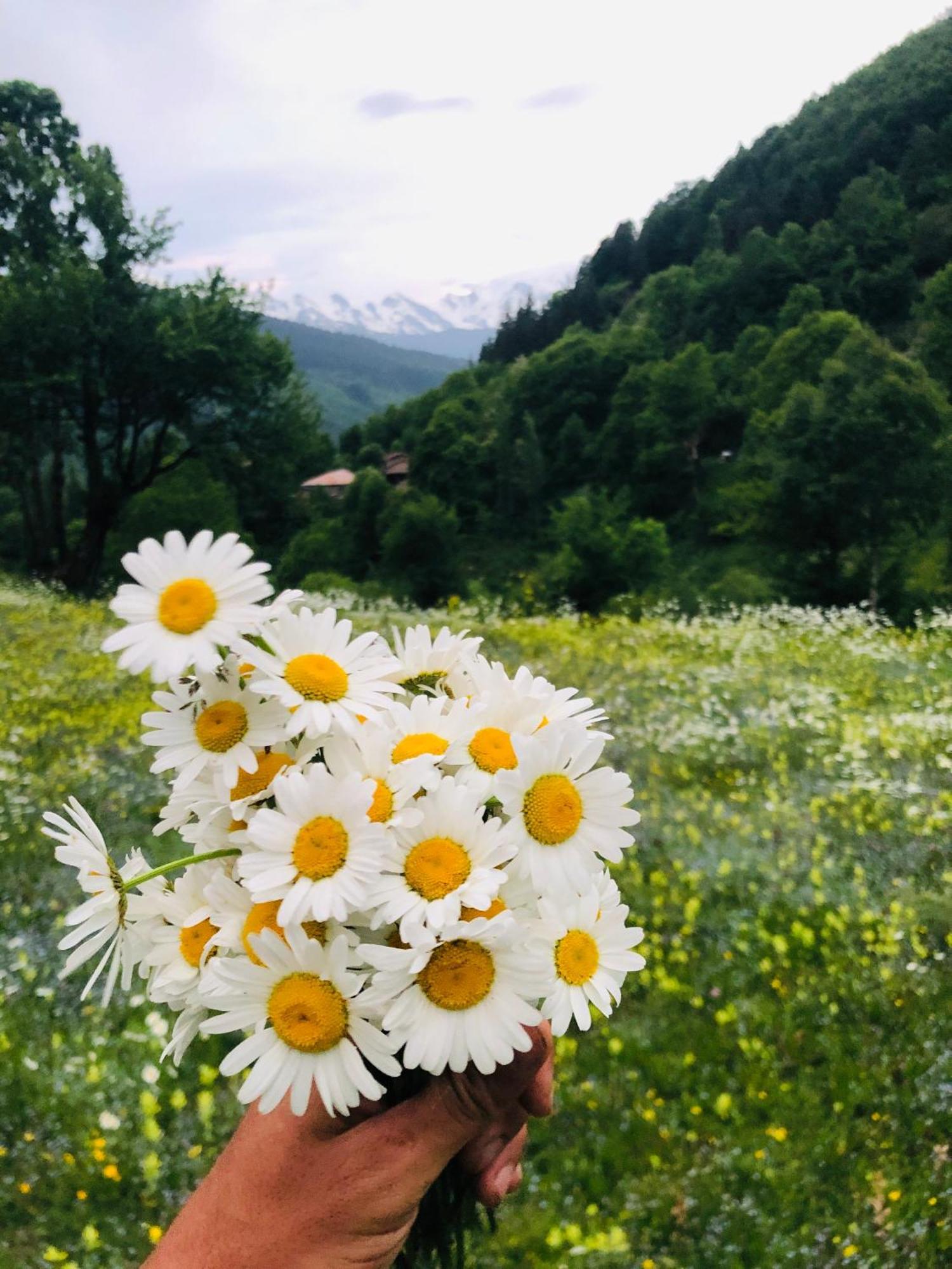 River Side Svaneti Mestia Exterior foto